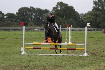 Bild 1434 - WBO-Turnier am 18.9.11